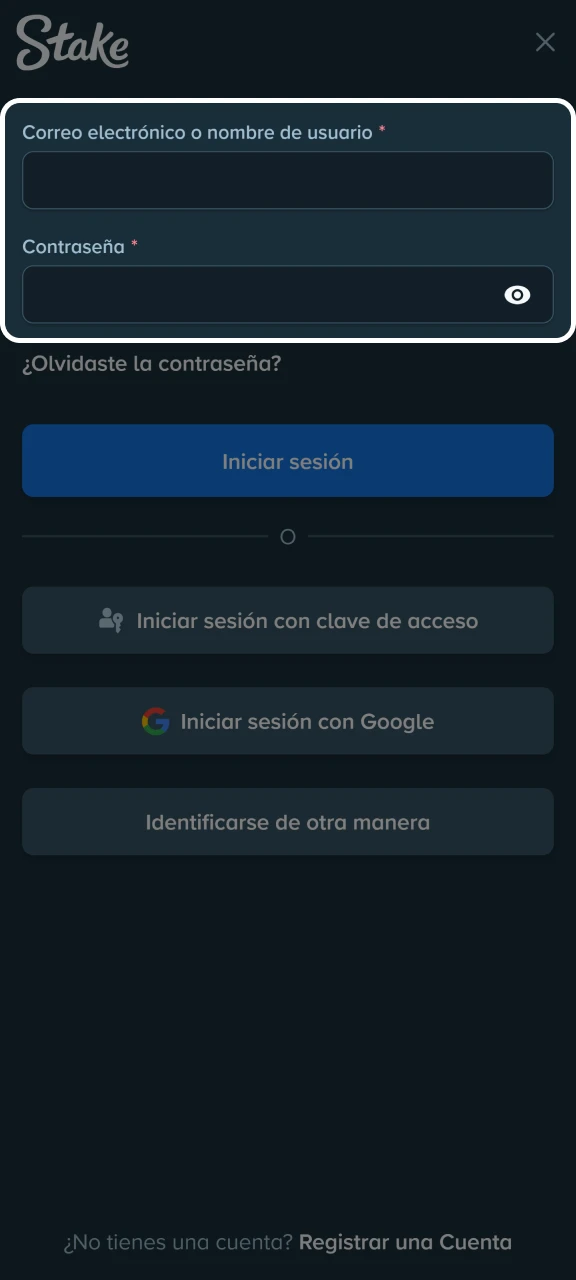 Ingresa tu correo y contraseña registrados previamente para acceder de forma segura a Stake.