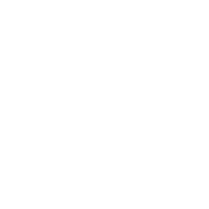 Play'n GO logo.