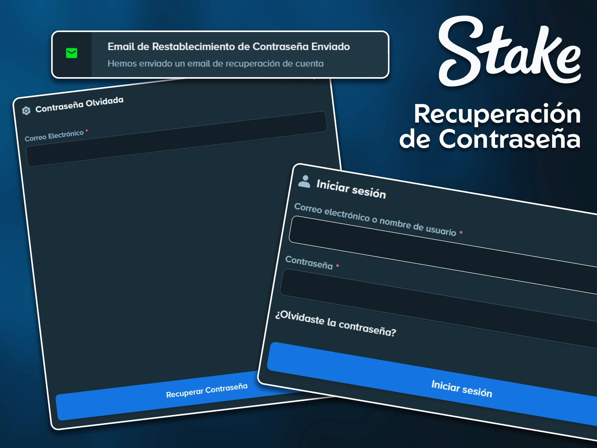 Restaura el acceso a tu perfil utilizando la función de recuperación de contraseña de tu cuenta en Stake.